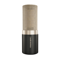 SIDE-ADDRESS STUDIO CARDIOID CONDENSER VOCAL MICROPHONE